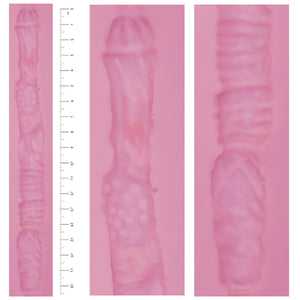 Large Labia Vagina Insert